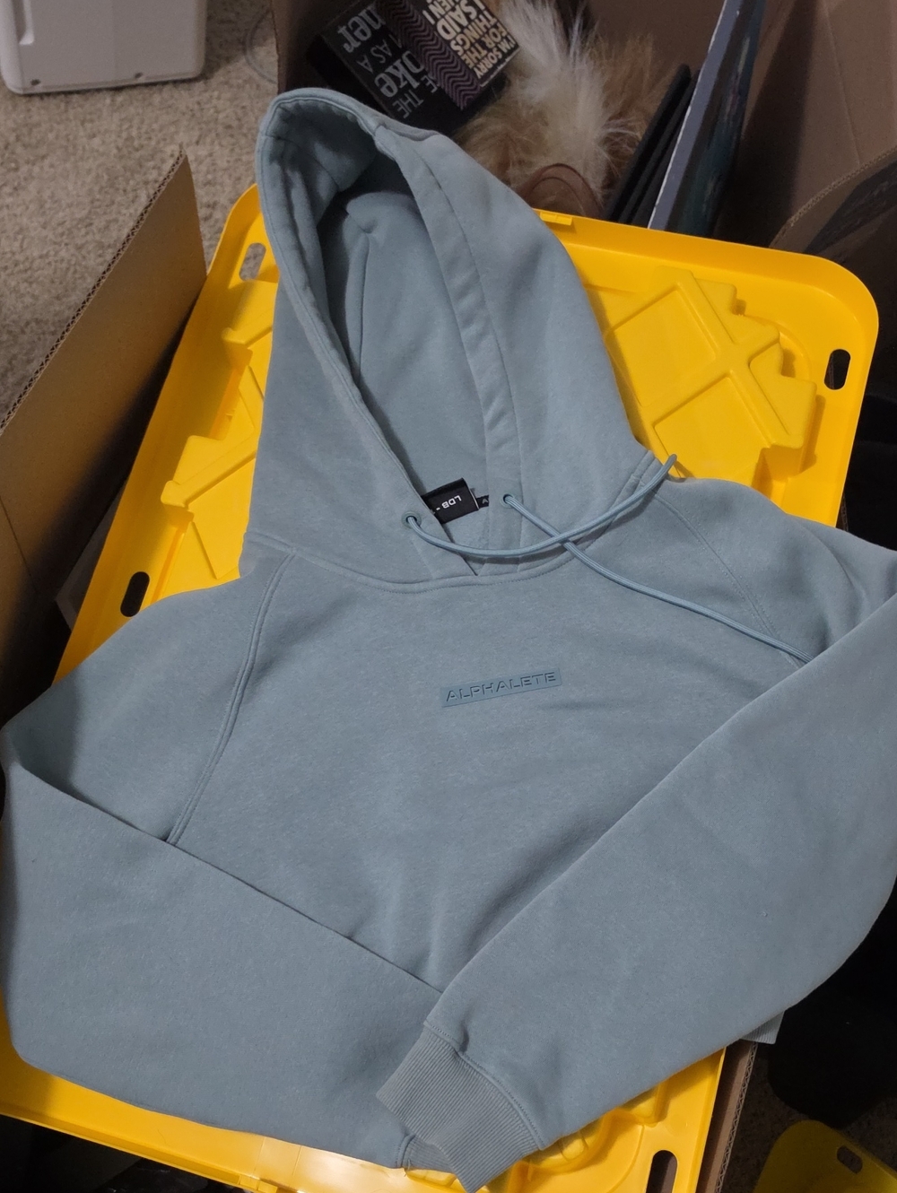 Alphalete Cropped Hoodie